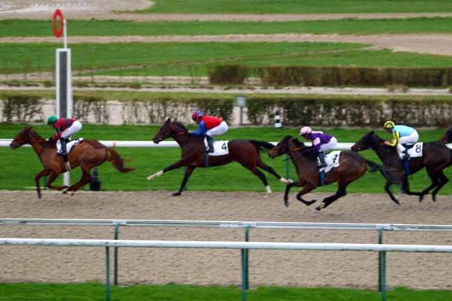 Photo d'arrivée de la course pmu PRIX DU BEAU CERISIER à DEAUVILLE le Dimanche 3 janvier 2016