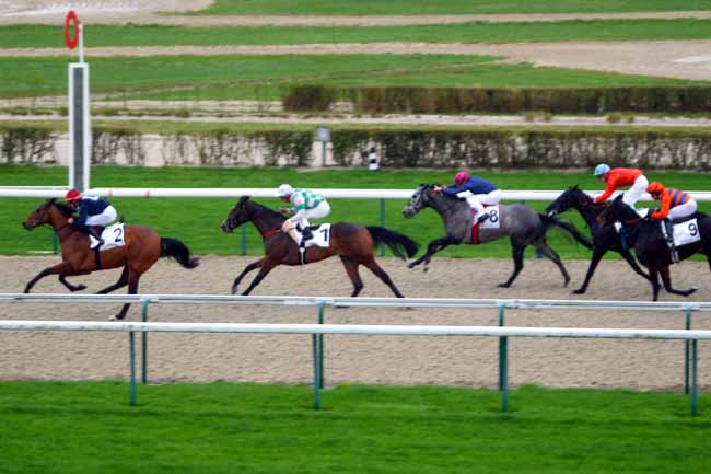Photo d'arrivée de la course pmu PRIX DE L'EPEE à DEAUVILLE le Dimanche 3 janvier 2016