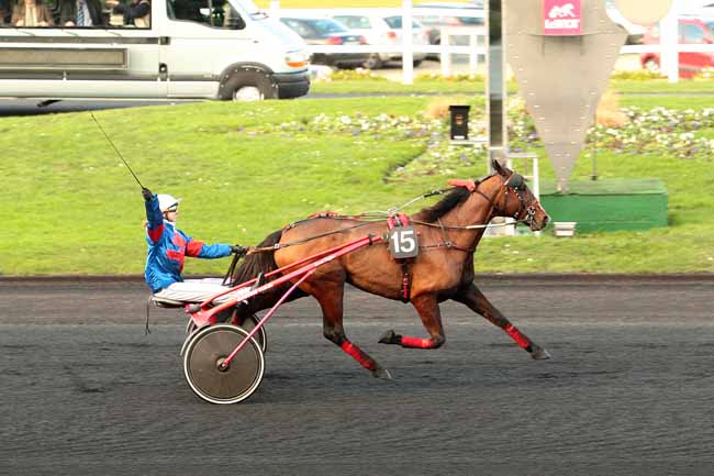 Photo d'arrivée de la course pmu PRIX DE SAINT-LEONARD à PARIS-VINCENNES le Lundi 4 janvier 2016