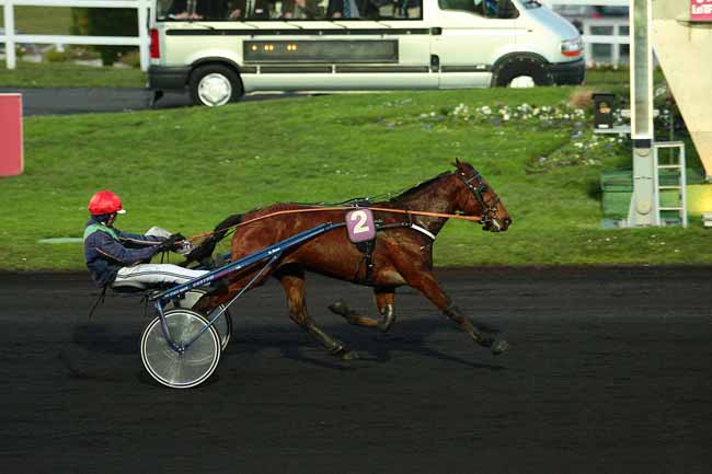 Photo d'arrivée de la course pmu PRIX DE CLAMECY à PARIS-VINCENNES le Lundi 4 janvier 2016