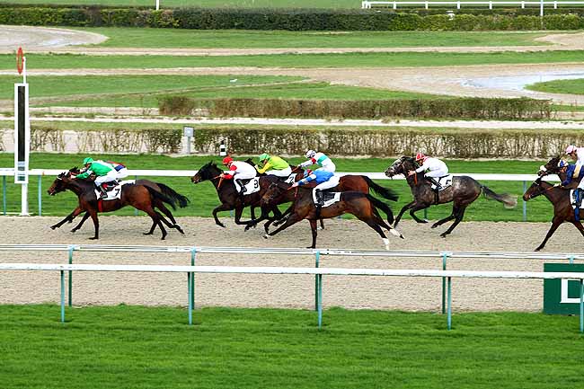 Photo d'arrivée de la course pmu PRIX DU RUISSEAU DES OUIES à DEAUVILLE le Lundi 4 janvier 2016