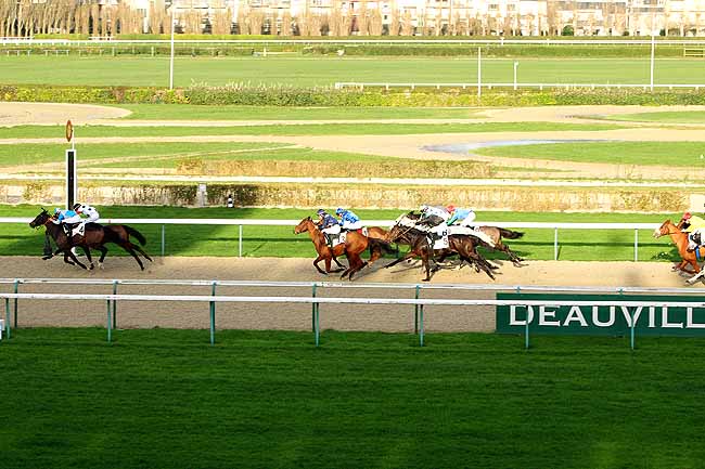 Photo d'arrivée de la course pmu PRIX DE L'AURETTE à DEAUVILLE le Lundi 4 janvier 2016