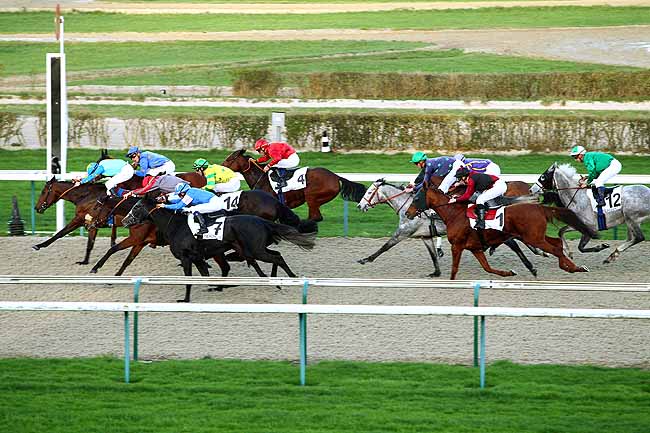 Photo d'arrivée de la course pmu PRIX DU RUISSEAU DE BELLAIE à DEAUVILLE le Lundi 4 janvier 2016
