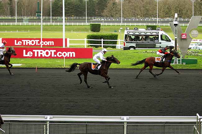 Photo d'arrivée de la course pmu PRIX DE MONTBELIARD à PARIS-VINCENNES le Mardi 5 janvier 2016