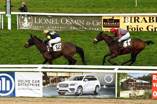 Photo d'arrivée de la course pmu PRIX PIERRE ESTREM-REY à PAU le Mercredi 6 janvier 2016