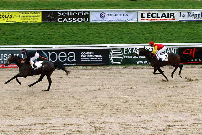 Photo d'arrivée de la course pmu PRIX DE LOUVIE-JUZON à PAU le Mercredi 6 janvier 2016