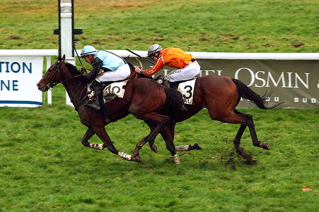 Photo d'arrivée de la course pmu PRIX DE MORLAAS à PAU le Mercredi 6 janvier 2016