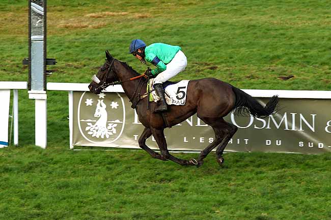 Photo d'arrivée de la course pmu PRIX DE SAMES à PAU le Mercredi 6 janvier 2016
