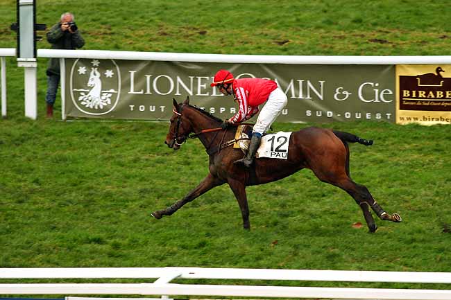 Photo d'arrivée de la course pmu PRIX D'OLORON à PAU le Mercredi 6 janvier 2016