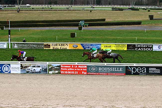 Photo d'arrivée de la course pmu PRIX EL TRIUNFO à PAU le Mercredi 6 janvier 2016