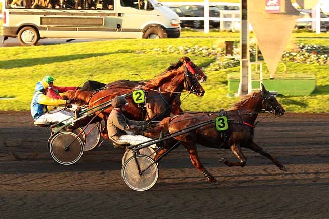 Photo d'arrivée de la course pmu PRIX DE MONTPELLIER (GR B) à PARIS-VINCENNES le Mercredi 6 janvier 2016
