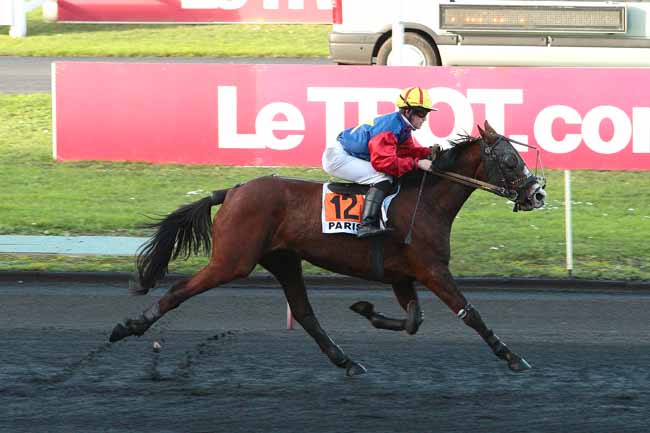 Photo d'arrivée de la course pmu PRIX DE MAULEON à PARIS-VINCENNES le Jeudi 7 janvier 2016