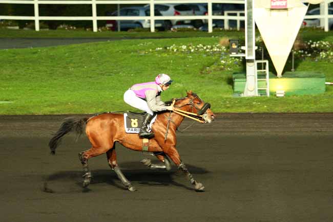 Photo d'arrivée de la course pmu PRIX DE GUERLESQUIN à PARIS-VINCENNES le Jeudi 7 janvier 2016