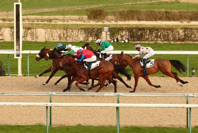 Photo d'arrivée de la course pmu PRIX DE LA BRECHE AU DIABLE à DEAUVILLE le Vendredi 8 janvier 2016