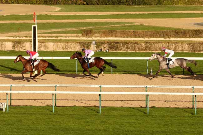 Photo d'arrivée de la course pmu PRIX DE LA RIVIERE SAINT-SAUVEUR à DEAUVILLE le Vendredi 8 janvier 2016