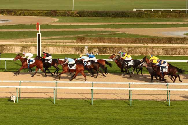 Photo d'arrivée de la course pmu PRIX DE LA BAIE DE SEINE à DEAUVILLE le Vendredi 8 janvier 2016