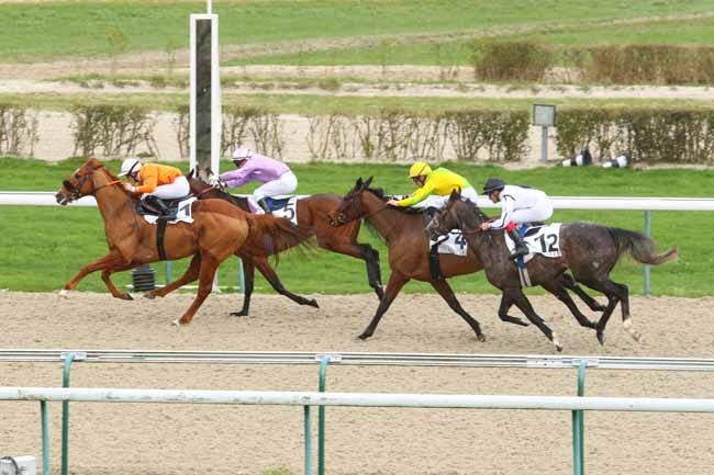 Photo d'arrivée de la course pmu PRIX DE LA RIVIERE MORTE à DEAUVILLE le Vendredi 8 janvier 2016