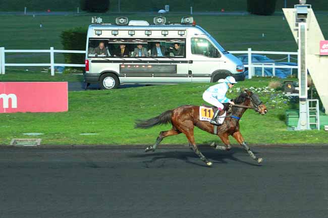 Photo d'arrivée de la course pmu PRIX DE MAROLLES à PARIS-VINCENNES le Samedi 9 janvier 2016
