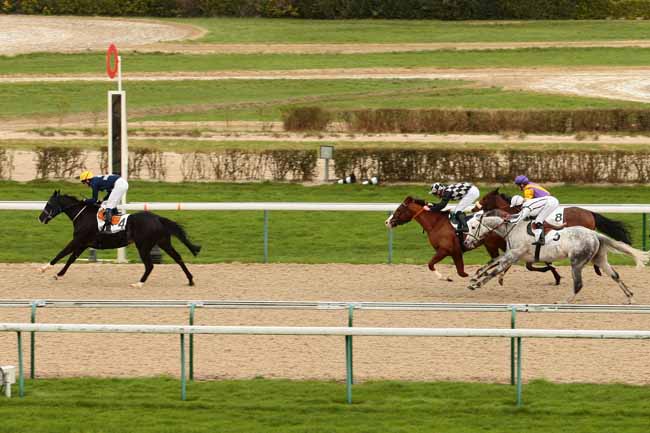 Photo d'arrivée de la course pmu PRIX D'ESSAI à DEAUVILLE le Samedi 9 janvier 2016