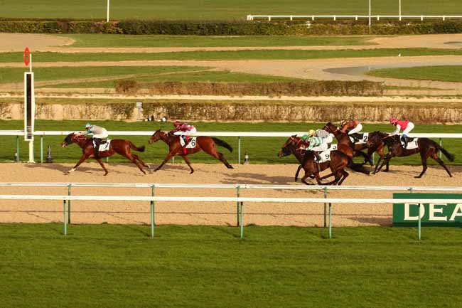 Photo d'arrivée de la course pmu PRIX D'HASPEL à DEAUVILLE le Samedi 9 janvier 2016