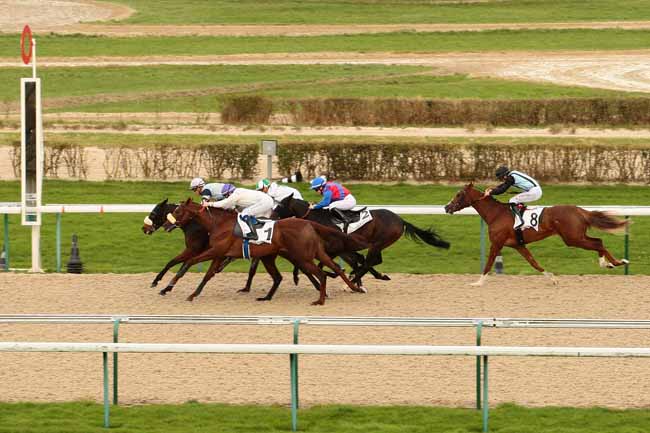 Photo d'arrivée de la course pmu PRIX DU GRAND LYS à DEAUVILLE le Samedi 9 janvier 2016