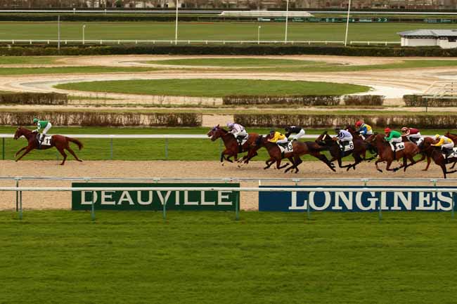 Photo d'arrivée de la course pmu PRIX DE SAINTE-MERE-EGLISE à DEAUVILLE le Samedi 9 janvier 2016