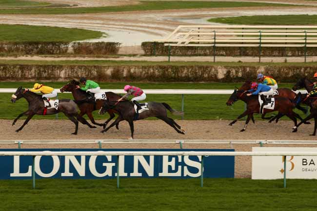 Photo d'arrivée de la course pmu PRIX DU PHARE à DEAUVILLE le Samedi 9 janvier 2016