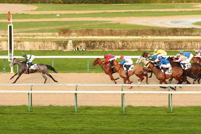 Photo d'arrivée de la course pmu PRIX DE SAINT-VAAST-LA-HOUGUE à DEAUVILLE le Samedi 9 janvier 2016