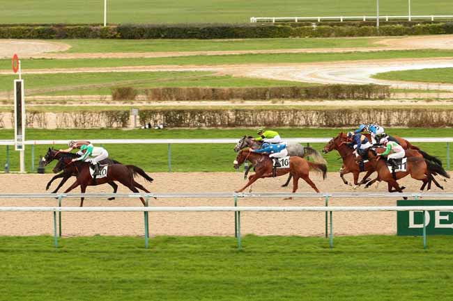 Photo d'arrivée de la course pmu PRIX DU BOIS AMIOT à DEAUVILLE le Samedi 9 janvier 2016