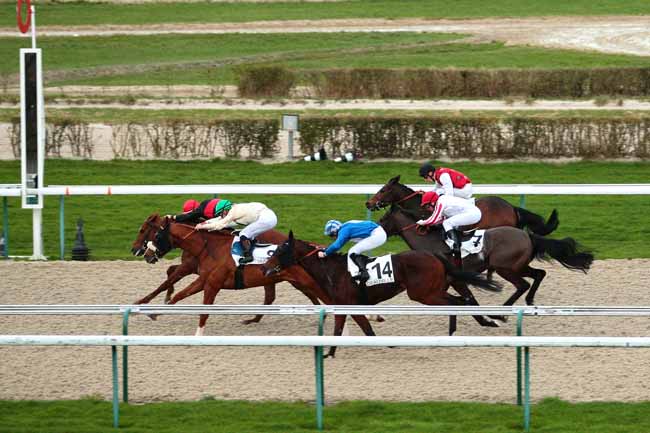 Photo d'arrivée de la course pmu PRIX DU BOIS AUX PROUX à DEAUVILLE le Samedi 9 janvier 2016