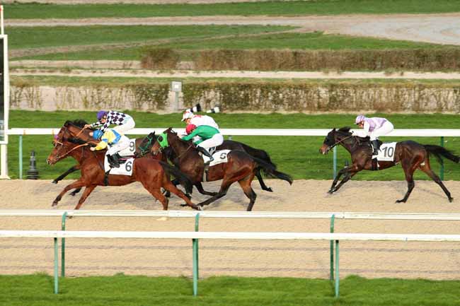Photo d'arrivée de la course pmu PRIX DE SAINT-SAUVEUR-LE-VICOMTE à DEAUVILLE le Samedi 9 janvier 2016