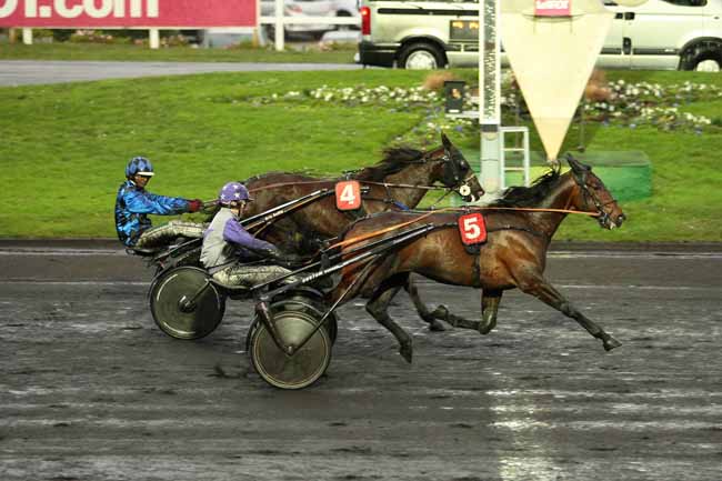 Photo d'arrivée de la course pmu PRIX DE TONNAC-VILLENEUVE à PARIS-VINCENNES le Dimanche 10 janvier 2016