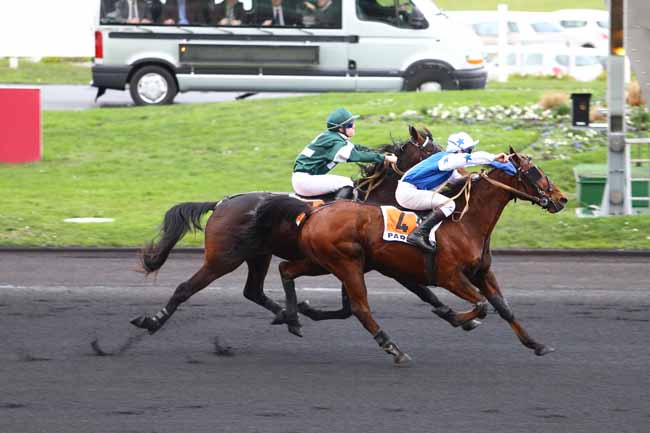 Photo d'arrivée de la course pmu PRIX CHRISTELLE ZIMMER à PARIS-VINCENNES le Lundi 11 janvier 2016