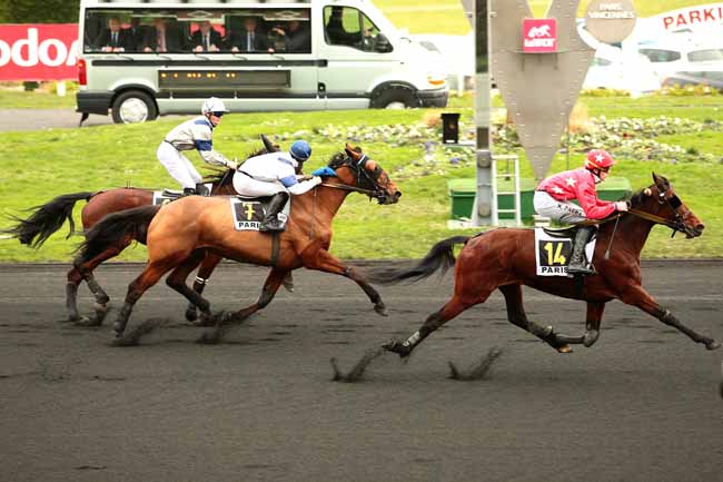 Photo d'arrivée de la course pmu PRIX DE CHATELAILLON-LA ROCHELLE à PARIS-VINCENNES le Dimanche 17 janvier 2016