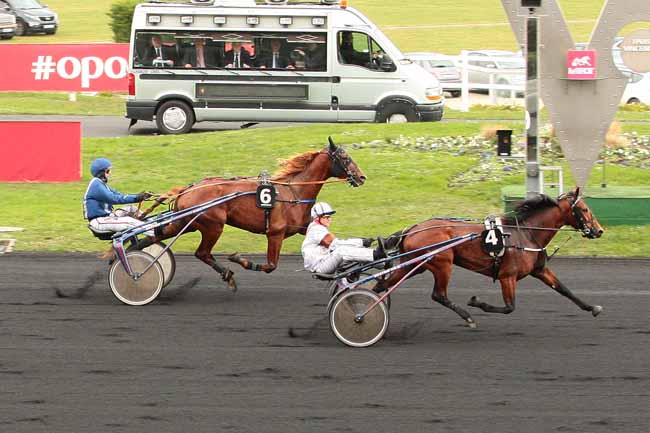 Photo d'arrivée de la course pmu PRIX DE RIBERAC à PARIS-VINCENNES le Dimanche 17 janvier 2016
