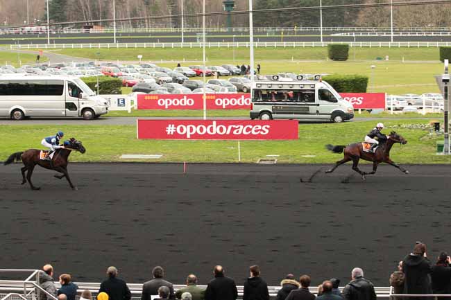 Photo d'arrivée de la course pmu PRIX DE CHERBOURG à PARIS-VINCENNES le Dimanche 17 janvier 2016