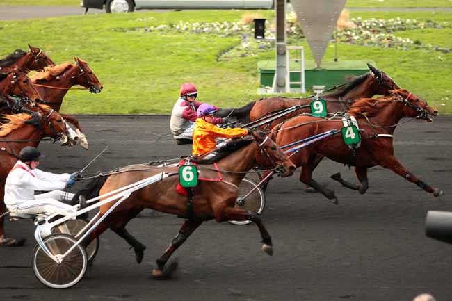 Photo d'arrivée de la course pmu PRIX GELINOTTE à PARIS-VINCENNES le Dimanche 17 janvier 2016