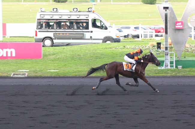 Photo d'arrivée de la course pmu PRIX DE CASTERA-VERDUZAN à PARIS-VINCENNES le Lundi 18 janvier 2016