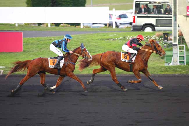Photo d'arrivée de la course pmu PRIX DE ROUBAIX à PARIS-VINCENNES le Lundi 18 janvier 2016