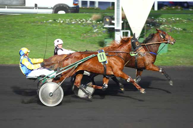 Photo d'arrivée de la course pmu PRIX DE FRESNES à PARIS-VINCENNES le Lundi 18 janvier 2016