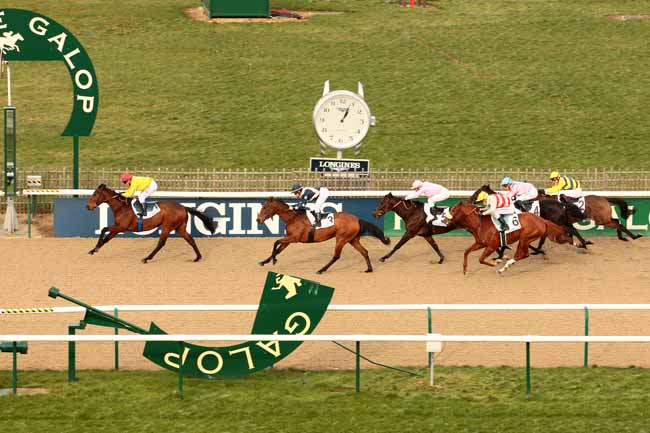 Photo d'arrivée de la course pmu PRIX DU CHEMIN DE HALLAGE à CHANTILLY le Lundi 18 janvier 2016