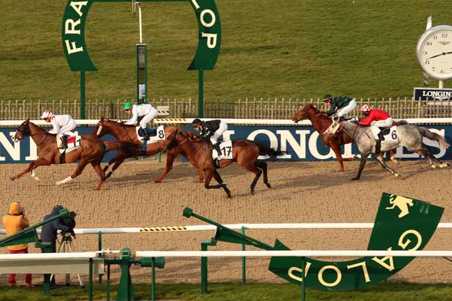 Photo d'arrivée de la course pmu PRIX DE BORAN à CHANTILLY le Lundi 18 janvier 2016