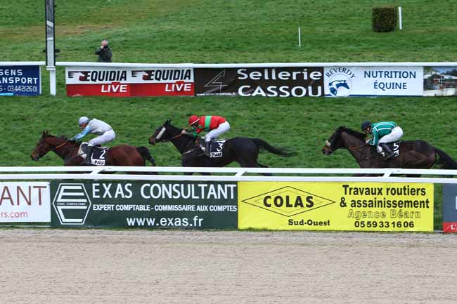Photo d'arrivée de la course pmu PRIX DU CENTRE D'ENTRAINEMENT DE PAU-SERS à PAU le Mardi 19 janvier 2016