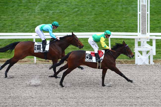Photo d'arrivée de la course pmu PRIX DU CANNET à CAGNES-SUR-MER le Mercredi 20 janvier 2016