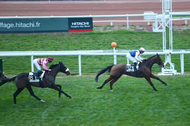 Photo d'arrivée de la course pmu PRIX DE LA CROISETTE à CAGNES-SUR-MER le Mercredi 20 janvier 2016