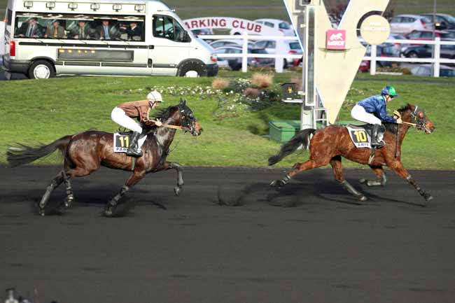 Photo d'arrivée de la course pmu PRIX DE LA FERTE BERNARD à PARIS-VINCENNES le Jeudi 21 janvier 2016