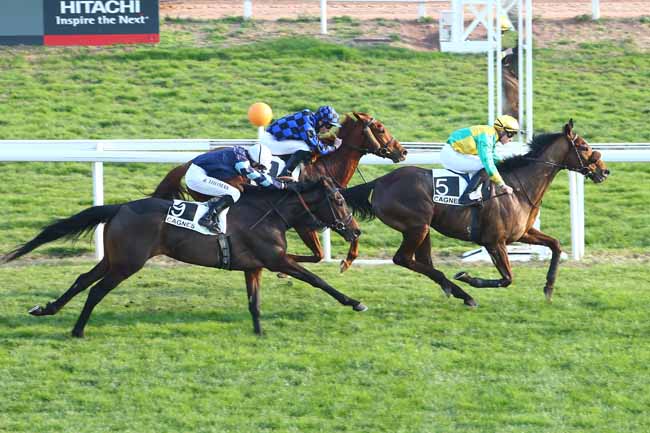 Photo d'arrivée de la course pmu PRIX DU COL DE VENCE à CAGNES-SUR-MER le Vendredi 22 janvier 2016