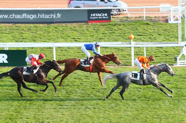 Photo d'arrivée de la course pmu PRIX ALBERT TATON à CAGNES-SUR-MER le Vendredi 22 janvier 2016