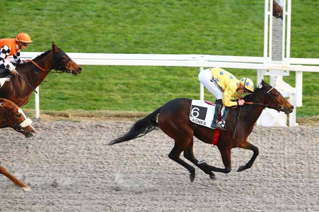 Photo d'arrivée de la course pmu PRIX DES BLEUETS à CAGNES-SUR-MER le Vendredi 22 janvier 2016