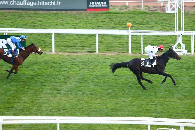 Photo d'arrivée de la course pmu PRIX DE TOURETTES-SUR-LOUP à CAGNES-SUR-MER le Vendredi 22 janvier 2016